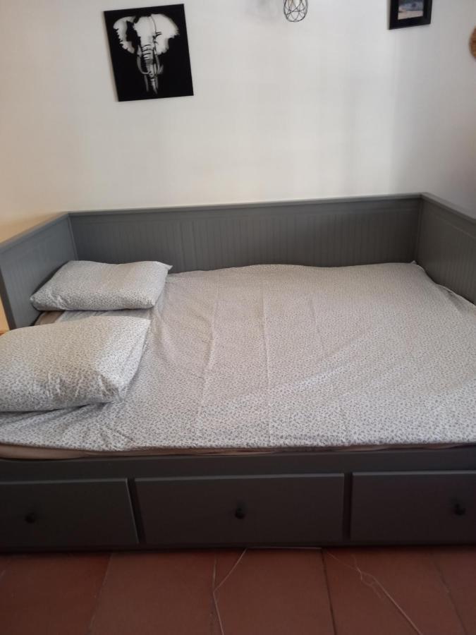 Studio Cocooning Centre Historique D Avignon 아파트 외부 사진