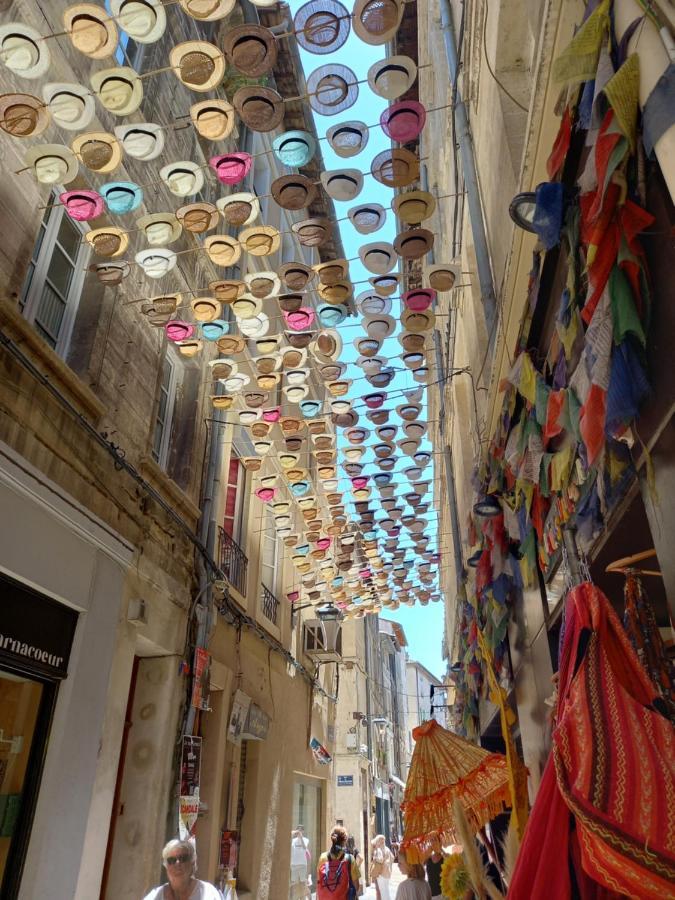Studio Cocooning Centre Historique D Avignon 아파트 외부 사진